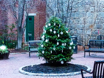 Christmas tree in Boston's Beacon Hill