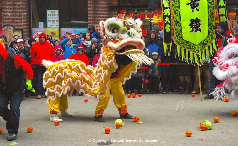 Boston Chinese New Year Parade - Lion Dance